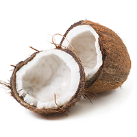 coconut-2.png